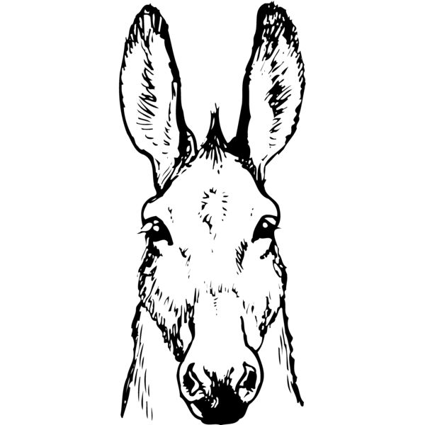 BURRO008 Thumbnail